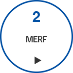 STEP2 MERF